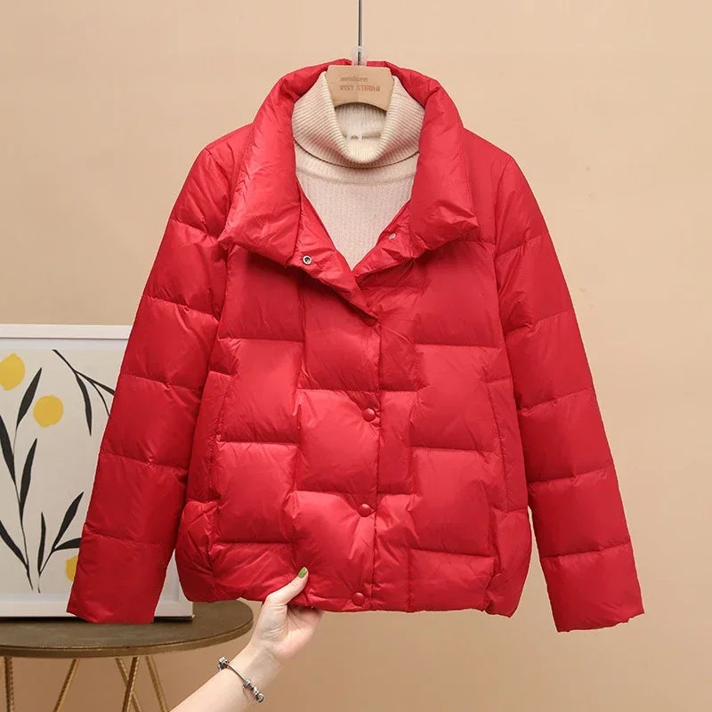 S38210c11559a4e2eb10bcfa2636e2c2b2