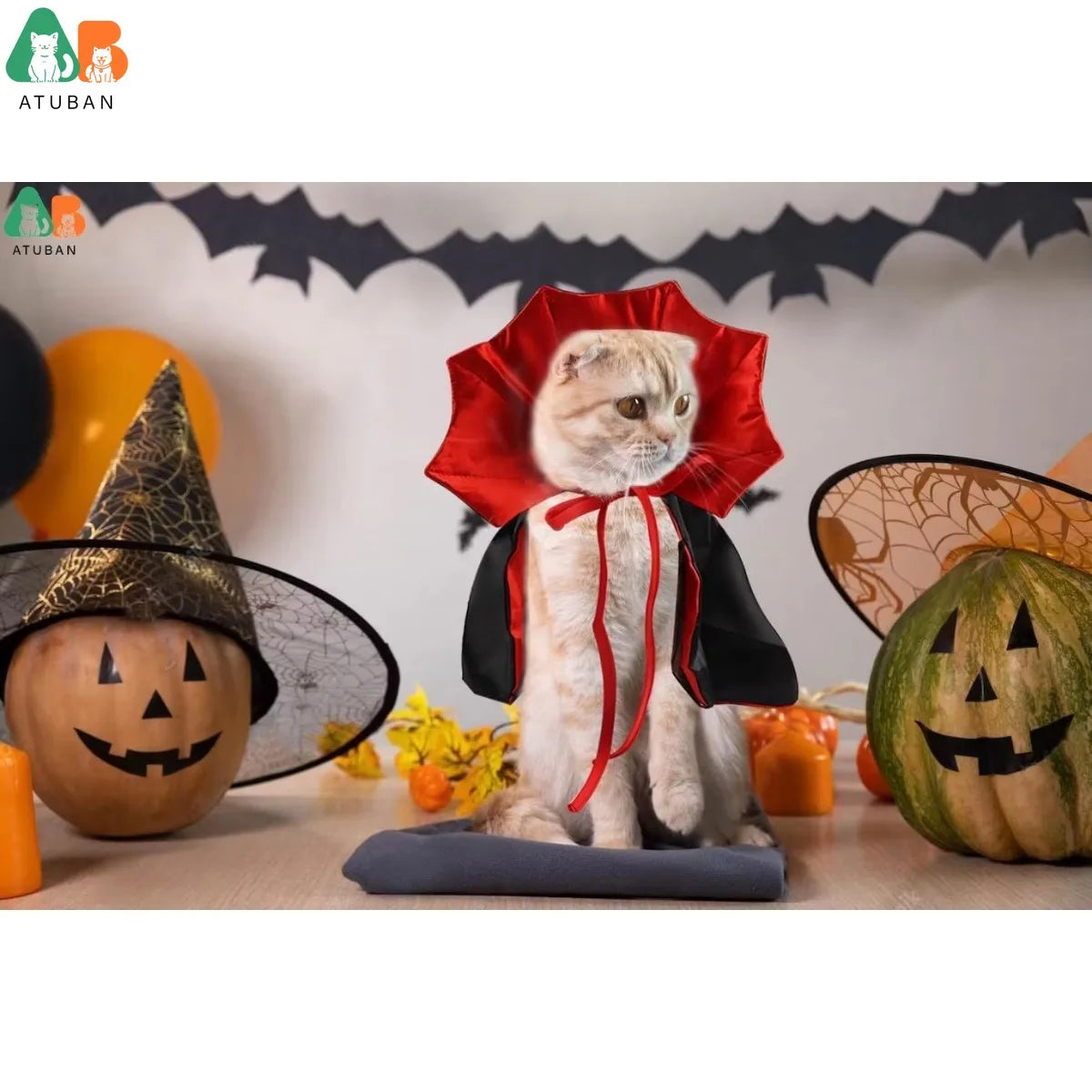 S4e1d272cbcf545089d7814731d8818c3i