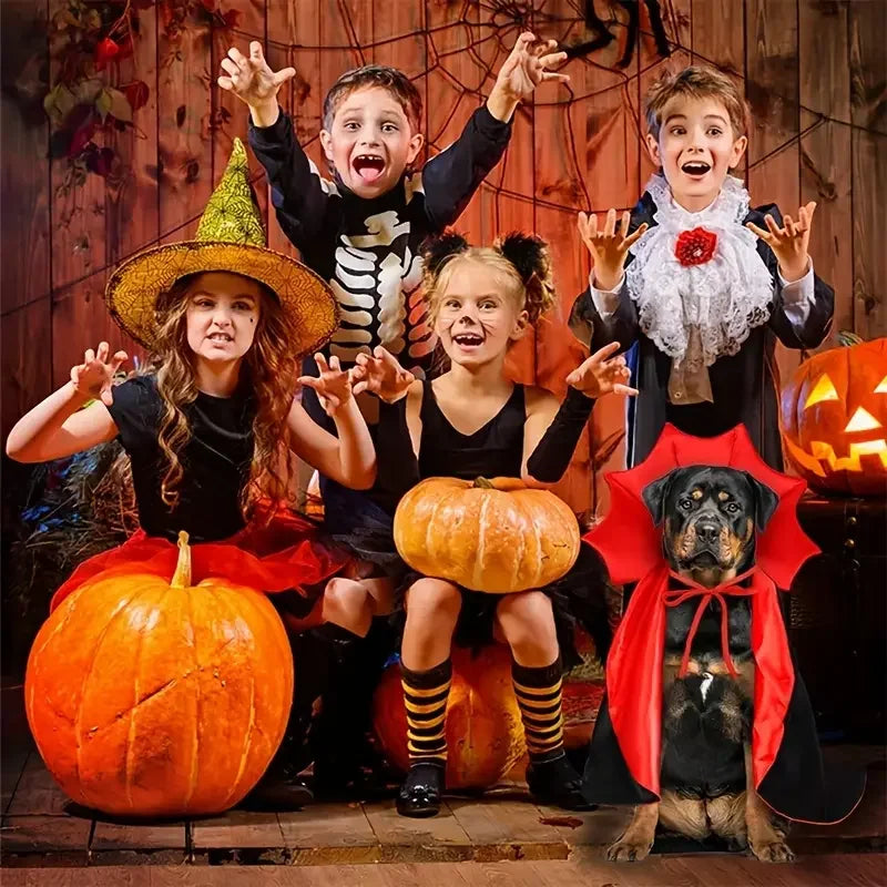 S8b3c2862261b4c98ba24a4542106c78b2