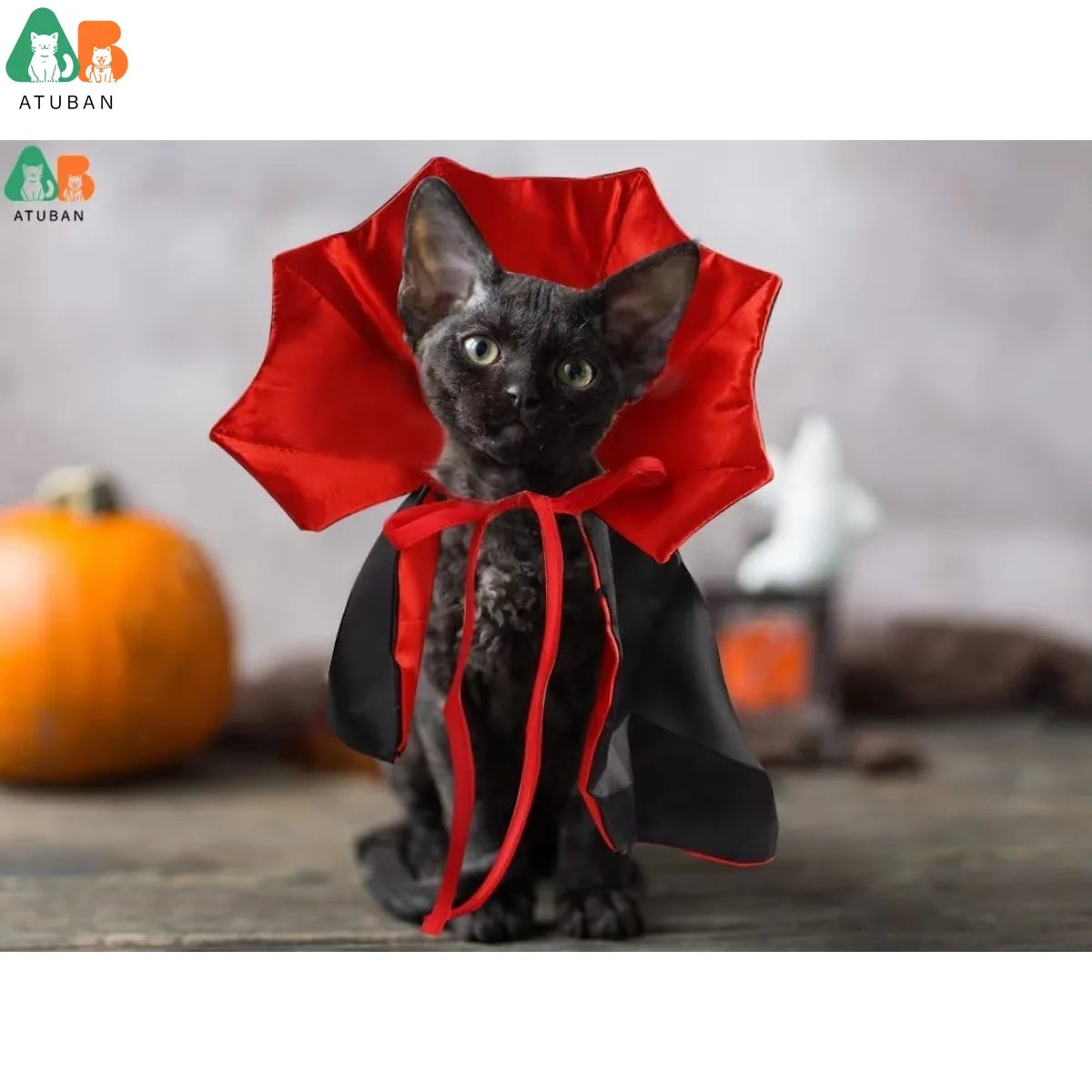 Sf79836453eaa4e7caaf270696011e0b6p